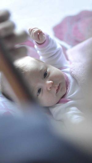 站长seo综合查询工具截图4