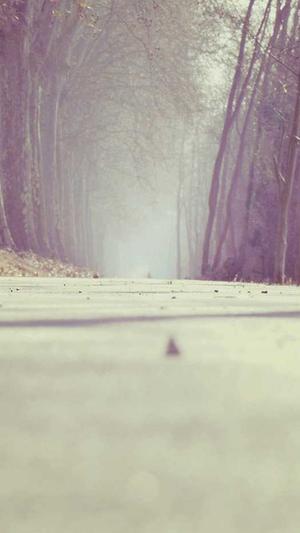 大庆网站建设公司截图3