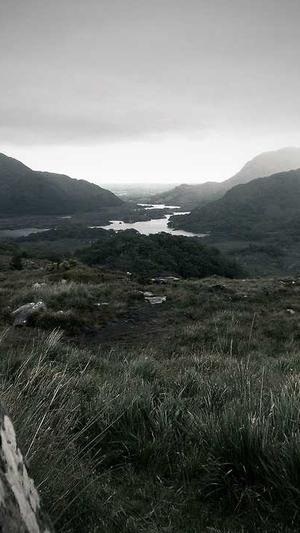 seo查询工具有哪些截图4