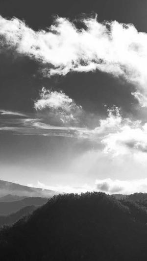 网站建设规划书截图5