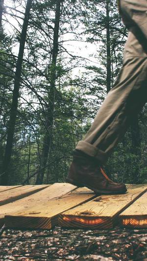 简单的网站建设截图2