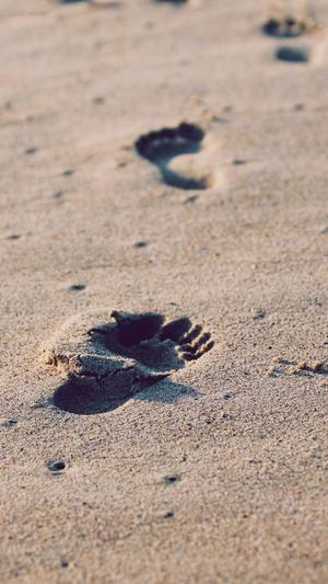 杭州seo优化公司截图1