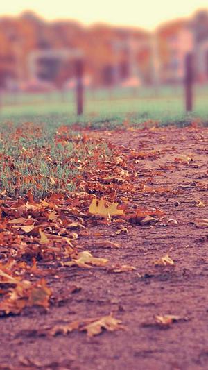 网站seo文章代写截图1