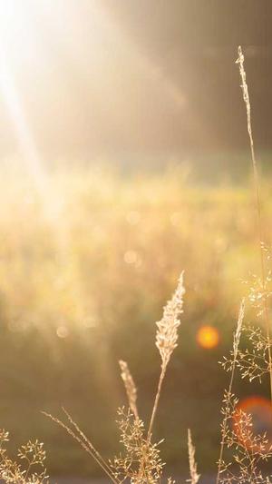 泛目录哪个平台好截图4