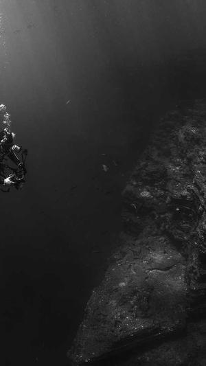 seo在线刷外链工具截图4