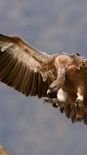 杭州的网站建设截图3