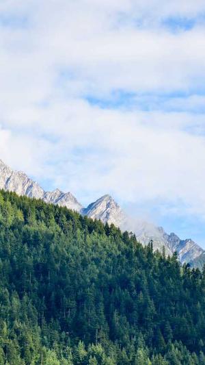 中国建设部网站截图4