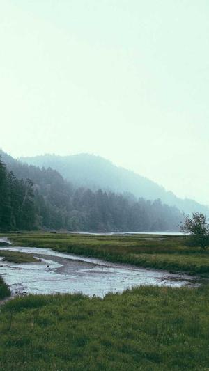 个性化网站建设截图1