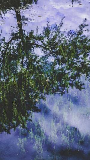 刷搜狗排名seo工具截图5