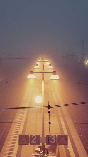 seo蜘蛛池制作截图2