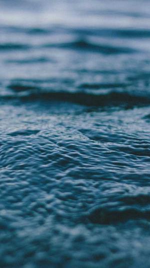 seo排名工具ok云尚网络截图2