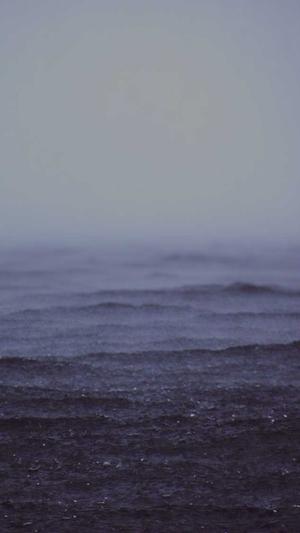 搜狗蜘蛛池出租202截图1