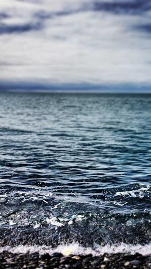 蜘蛛池哪里租的效果好截图4