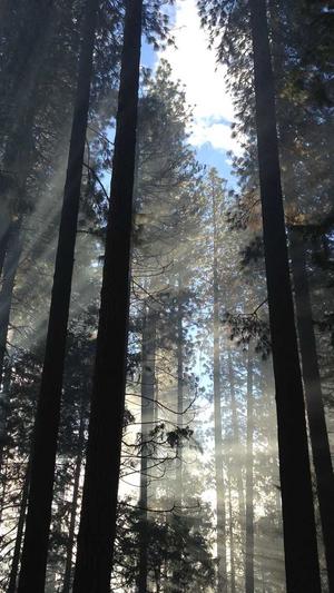 建设网站的网络公司截图4