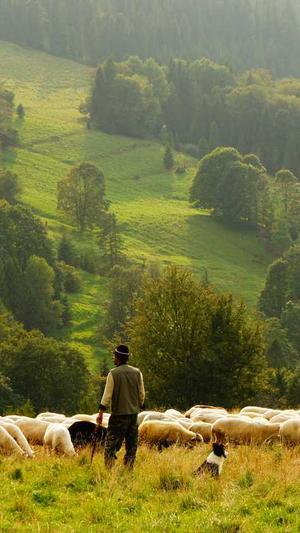 哪个网站建设公司好截图5