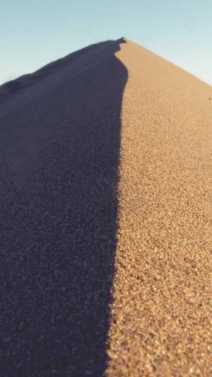 欧美网站建设截图3