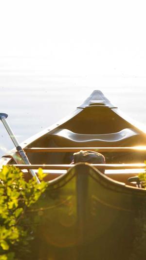 泛目录推广接单截图1