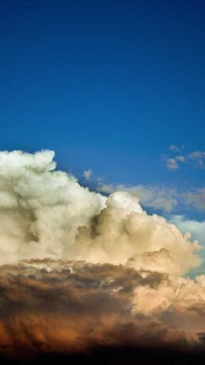 日本的seo工具截图2