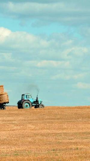 贵阳网站建设公司截图2