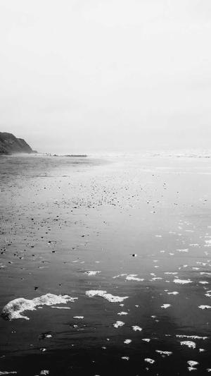 seo排名工具seo教程截图2