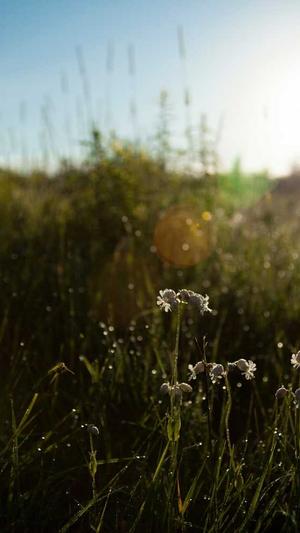 搜狗蜘蛛池出租202截图2