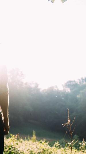 蜘蛛池软件权重截图3