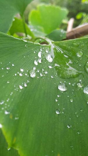 河南省建设厅网站截图2