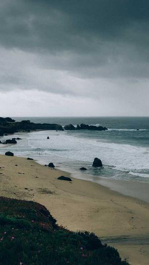 东莞网站建设网站截图3