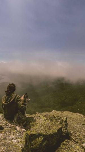 蜘蛛池和爬虫截图1