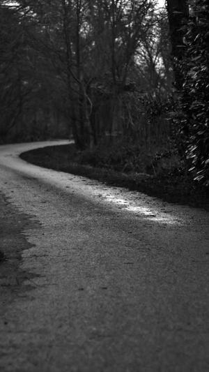 站长工具seo推广站长工具查询截图4