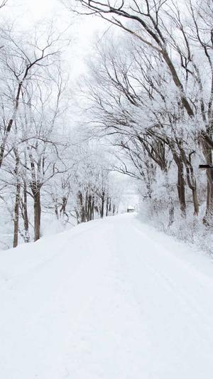 SEO综合查询 - 站长工具截图1