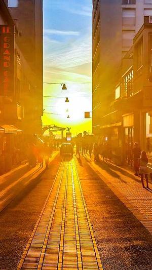 蜘蛛池和shell截图1