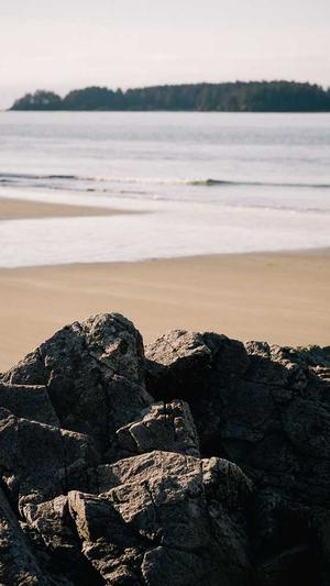 网站建设学习截图2