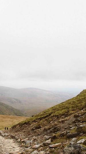 seo在线刷外链工具截图2