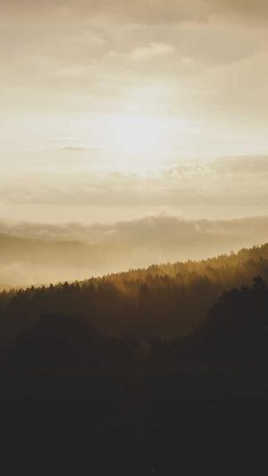 seo专用工具截图1