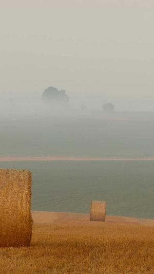 谁可以搭建蜘蛛池截图3