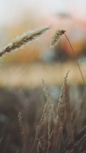 蜘蛛池软件怎么搭建截图1