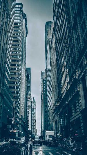 seo蜘蛛池作用截图4