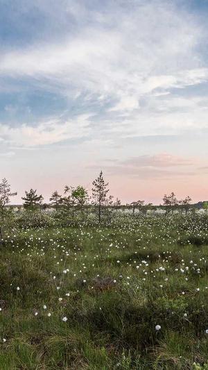 seo优化工具怎么选截图5