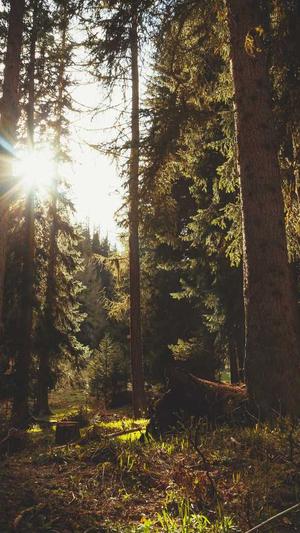 济南网站建设行知科技截图3