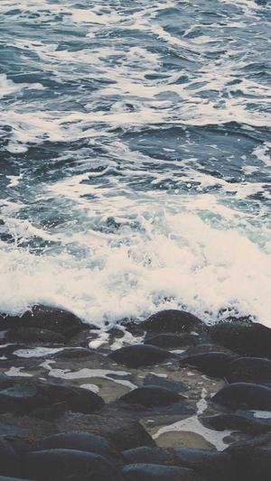 蜘蛛池创建教程视频截图4