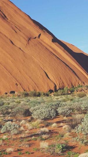 中国建设网官方网站截图1