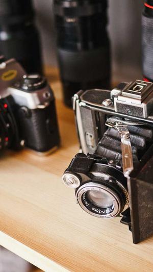 泛域名目录截图3