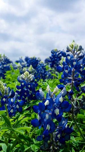 小旋风泛目录能干啥截图1