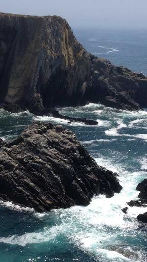 宁波seo优化截图4