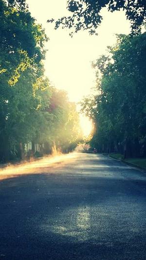 泛目录程序如何搭建截图3