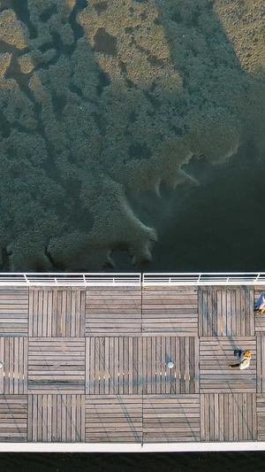 龙岗seo培训截图2