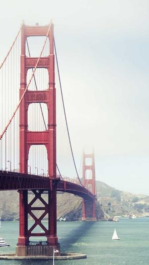 宝鸡seo优化工具截图4