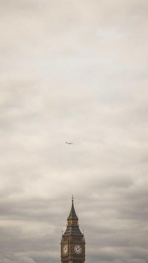 繁殖蜘蛛池出售截图3