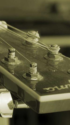 seo网站优化排名截图3